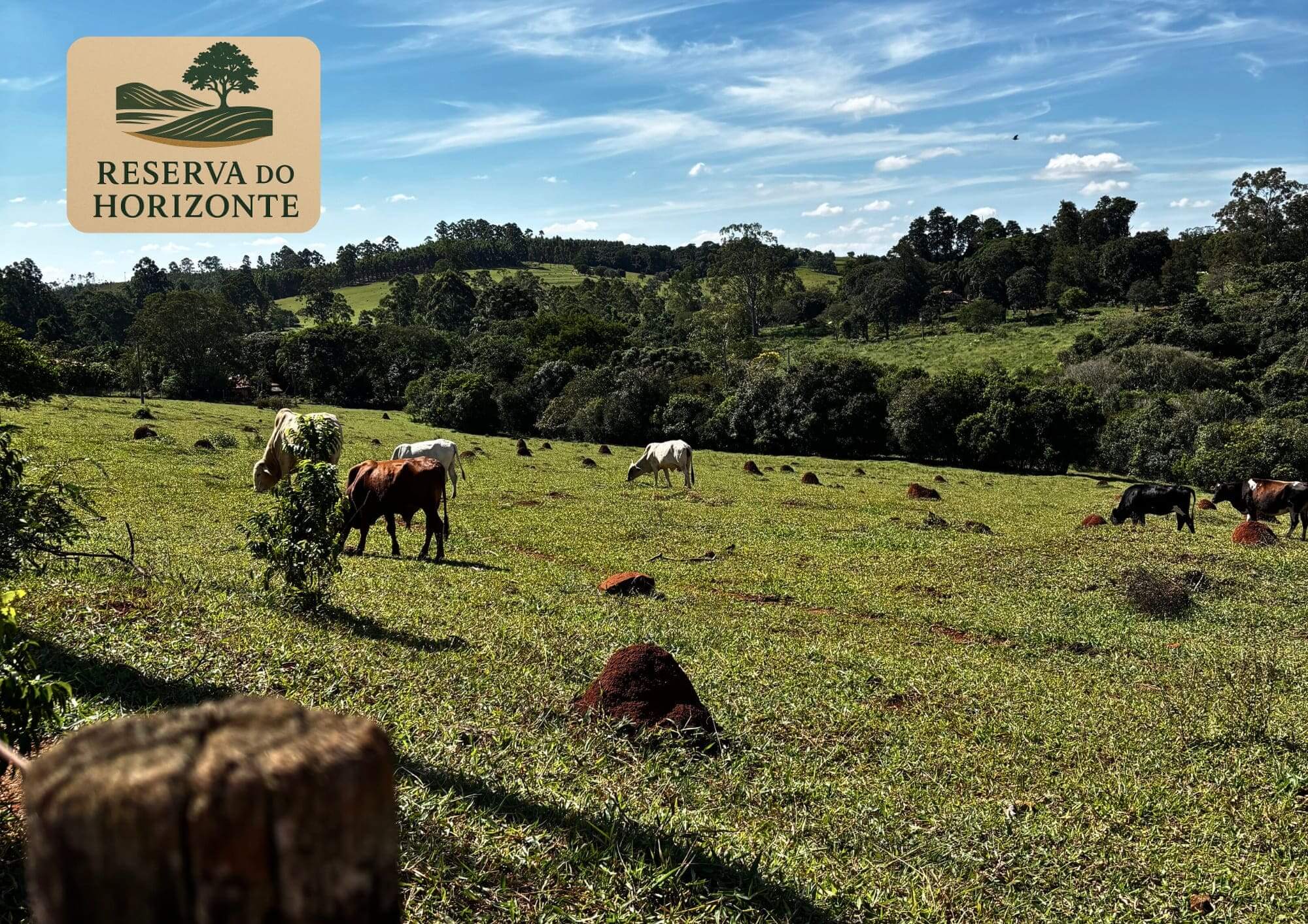 Terrenos.pardinho-14(1)
